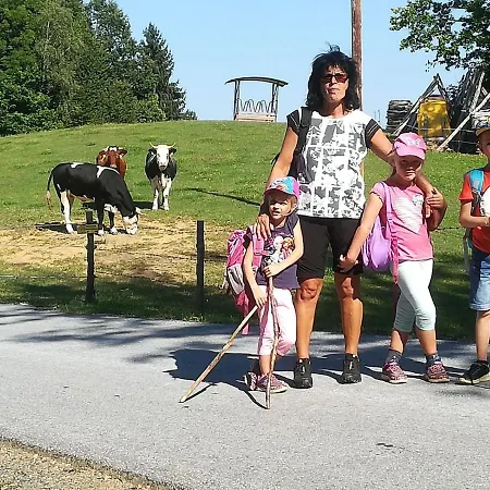 Apartment Wuttijockl *